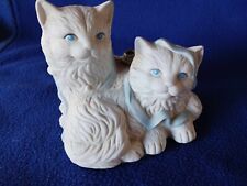White kittens blue for sale  Albert Lea