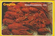 Crayfish warrnambool victoria for sale  Shipping to Ireland