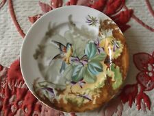 Superbe assiette porcelaine d'occasion  Strasbourg-