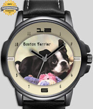 Boston terrier puppy for sale  STOCKTON-ON-TEES