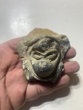 Ancient taino carved for sale  Langhorne