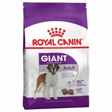 Royal canin giant usato  Carate Brianza