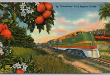 Postcard florida train for sale  Reading