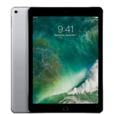 Apple iPad Pro 9,7 pulgadas - WiFi + celular - 32 GB - gris espacial - justo, usado segunda mano  Embacar hacia Argentina