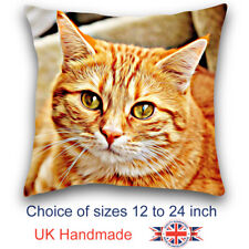 Ginger cat cushion for sale  WISBECH