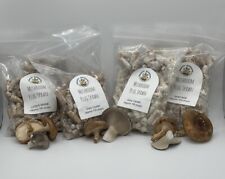 Mushroom plug spawn for sale  Annville