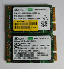 Stück hynix 256gb gebraucht kaufen  Uder