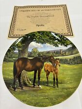 English thoroughbred spode for sale  ST. LEONARDS-ON-SEA