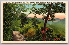 Cartão postal muito bom estado Hickory Nut Falls Path Chimney Rock Mountain Western Carolina do Norte comprar usado  Enviando para Brazil