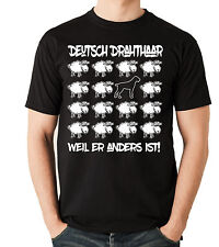 Shirt black sheep gebraucht kaufen  Kernst.-N., Hegn., Beinst.