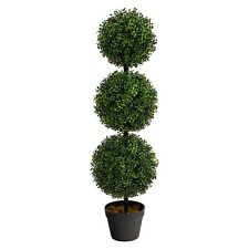Indoor outdoor boxwood for sale  USA
