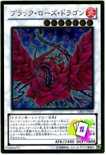 Black rose dragon usato  Mercato San Severino