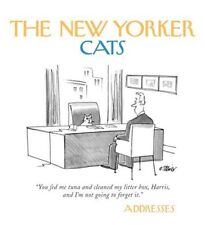 New yorker cats for sale  UK