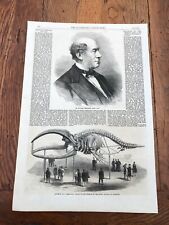 Skeleton greenland whale for sale  FORDINGBRIDGE