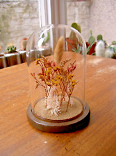 Glass bell jar for sale  LONDON
