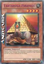 Tartaruga piramide rara usato  Ravenna