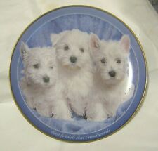 Lovely collectors plate for sale  NEWENT