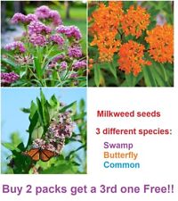 Swamp butterfly common for sale  Linwood