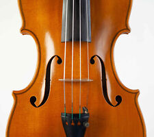Usado, violino antigo G. Pedrazzini 1938 alte geige violoncelo violoncelo italiano 4/4 violino comprar usado  Enviando para Brazil