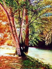 Colori autunno quadro usato  Rieti
