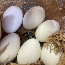 Goose eggs cage for sale  Lapeer