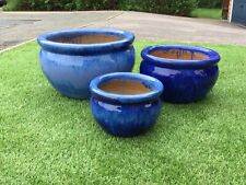 Blue ceramic plant for sale  BURY ST. EDMUNDS