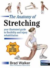 Anatomy stretching second for sale  USA