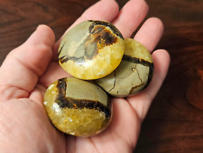 Septarian crystal stone for sale  Tampa