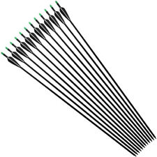 12pcs fiberglass arrows for sale  TAMWORTH