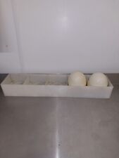 Ostrich egg incubator for sale  BOSTON