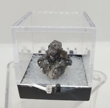 GEMMY LUSTROUS CASSITERITE CRYSTAL CLUSTER: VILOCO MINE, LOAYZA PROVINCE BOLIVIA for sale  Shipping to South Africa