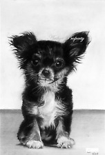 Cucciolo cane chihuahua usato  Italia