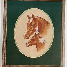 Butterscotch horse colt for sale  Philadelphia