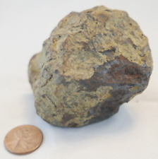 Uruacu iron meteorite for sale  Austin