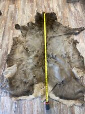 Large elk hide for sale  Black Hawk