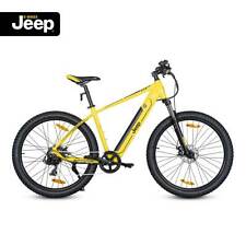 Jeep mountain bike gebraucht kaufen  Weier,-Zunsweier