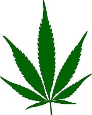 Pot leaf cannabis for sale  Kendallville