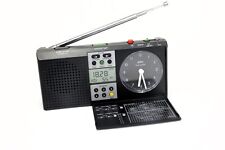 Braun digital radio gebraucht kaufen  Lüneburg