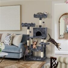 Cat activity tree for sale  USA
