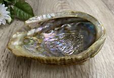 Abalone shell smudging for sale  Thief River Falls