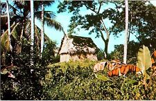 Usado, Cartão postal típico casa de telhado de colmo nativo de Honduras  comprar usado  Enviando para Brazil