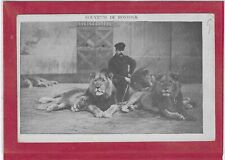 Circus fairground lion for sale  Shipping to Ireland