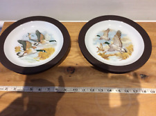 Hornsea plates ducks for sale  LONDON