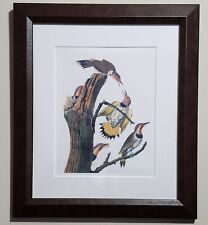 Golden winged woodpecker for sale  Shipping to Ireland