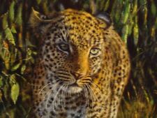 Tony forrest leopard for sale  STAFFORD