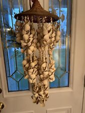 Beach sea shell for sale  Ubly