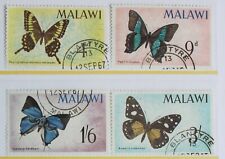 Malawi butterflies superb for sale  STALYBRIDGE