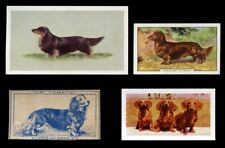 DACHSHUND LONG HAIRED GERMAN DAXI SAUSAGE DOG VINTAGE CIGARETTE & TRADE CARDS X4, used for sale  Shipping to South Africa