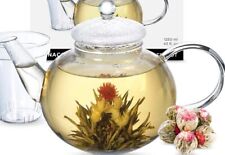 glass teapot infuser for sale  Greenbrier