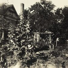 Vintage 1927 Black and White Photo Backyard Garden Flowers Trees Bushes Gazebo for sale  Allen